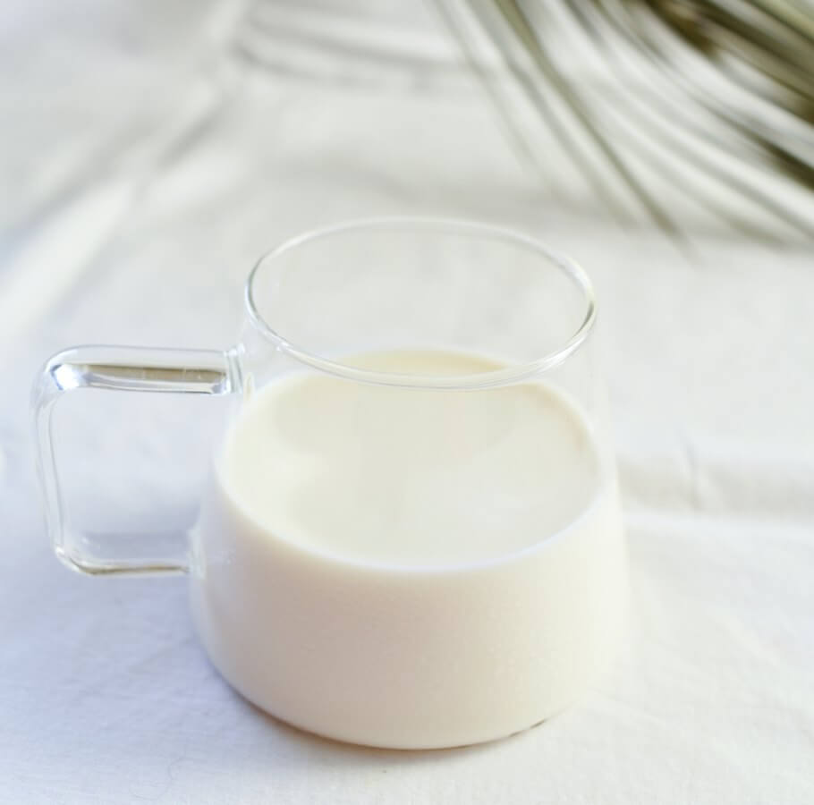 Dia de jejum com kefir benefícios